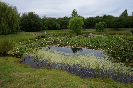 DSC06126.jpg