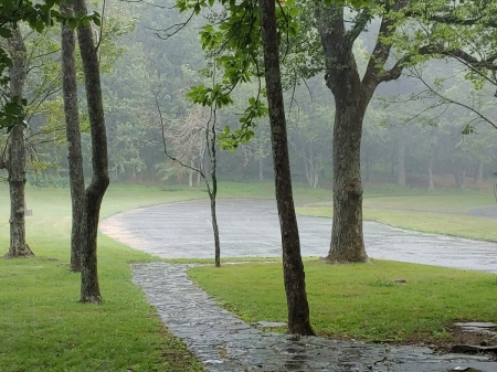 rain3a.jpg