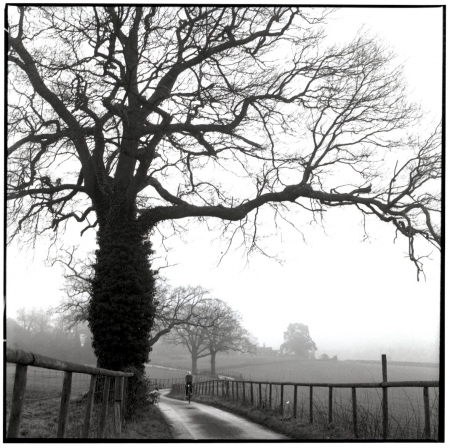 The Surrey Hills 2019 copy.jpg