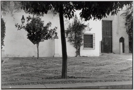 Cordoba 2019 copy.jpg