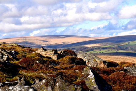 DSC_9476.JPG
