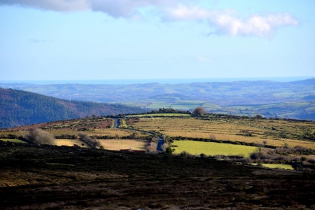 DSC_9480.JPG