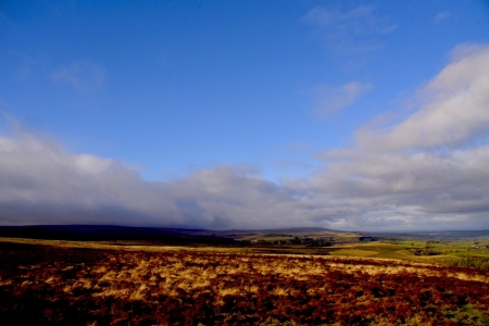 Dartmoor
.jpg