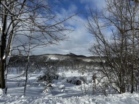 IMG_5058.md.jpeg