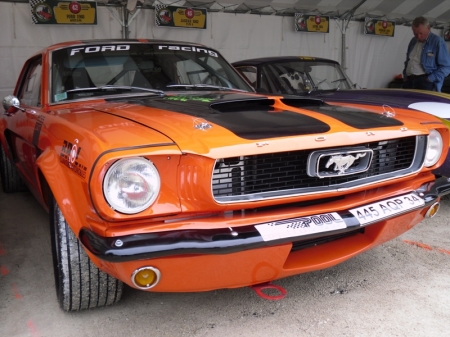 Ford Mustang-Angouleme 19-09-09 (17).JPG