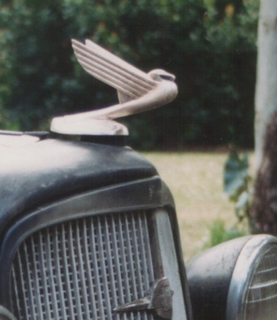 Chevrolet_flying_bird_mascot_on_a_1934_Chevrolet_standard..jpg