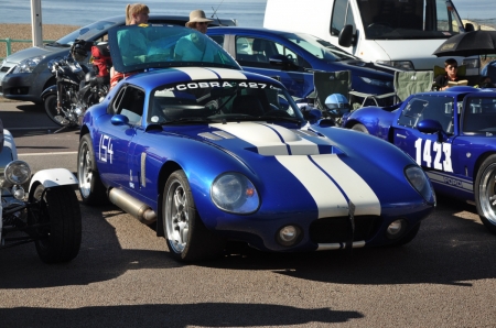 DSC_0011_7reduced.JPG
