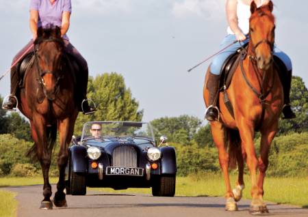 main_file_Roadster%20horses%20large.jpg