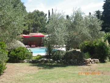 IMGP1100.jpg