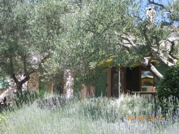 IMGP1090.jpg