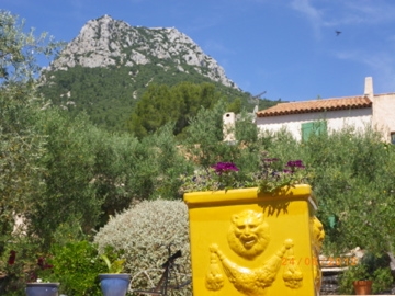 IMGP1084.jpg